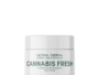 CANNABIS FRESH – Krem Fytyre për Hidratim